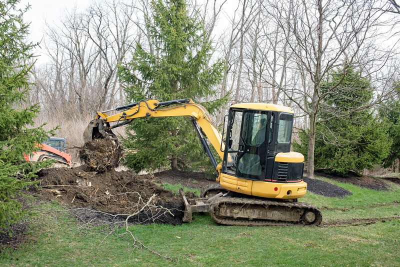 Stump Removal vs. Stump Grinding: the Pros and Cons
